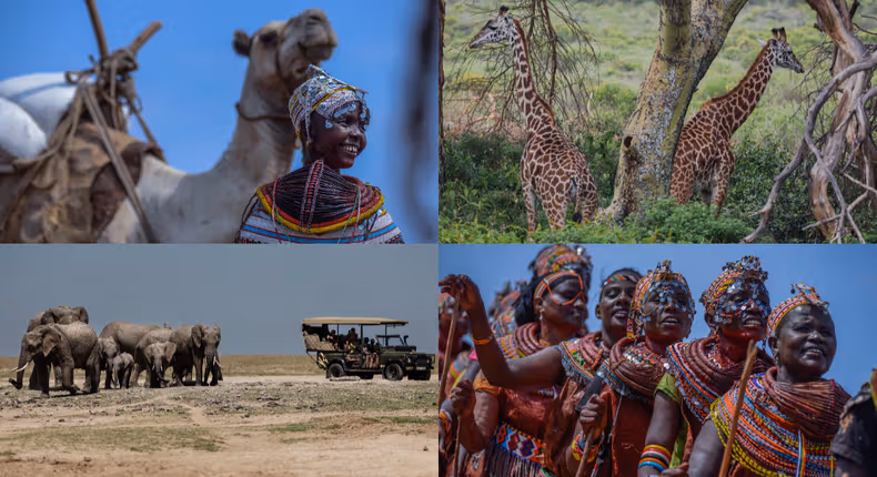 Kenya Targets $100 Billion UK–EU Travel Market in Bid to Become Africa’s Tourism Powerhouse