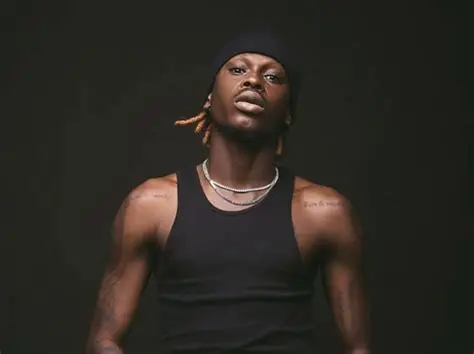 Music Is Bigger Than Numbers” — Fireboy DML Dismisses Ratings Talk at 90s Baby Concert