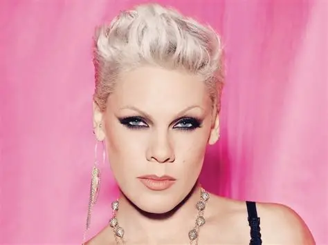 Pink Hospitalized on New Year’s Eve