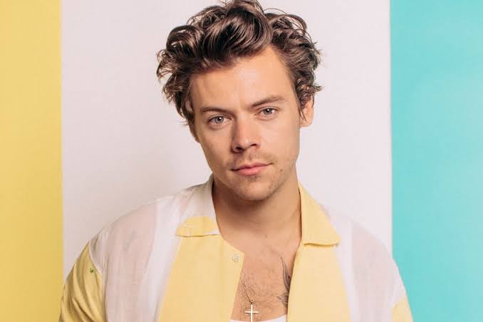 Harry Styles Sparks Concern After Briefly Collapsing on Stage During Wembley Concert