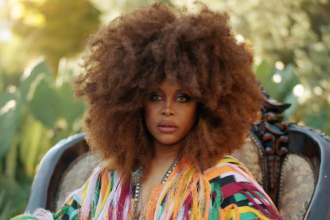 Erykah Badu Cancels Five European Shows Due to Unforeseen Circumstances